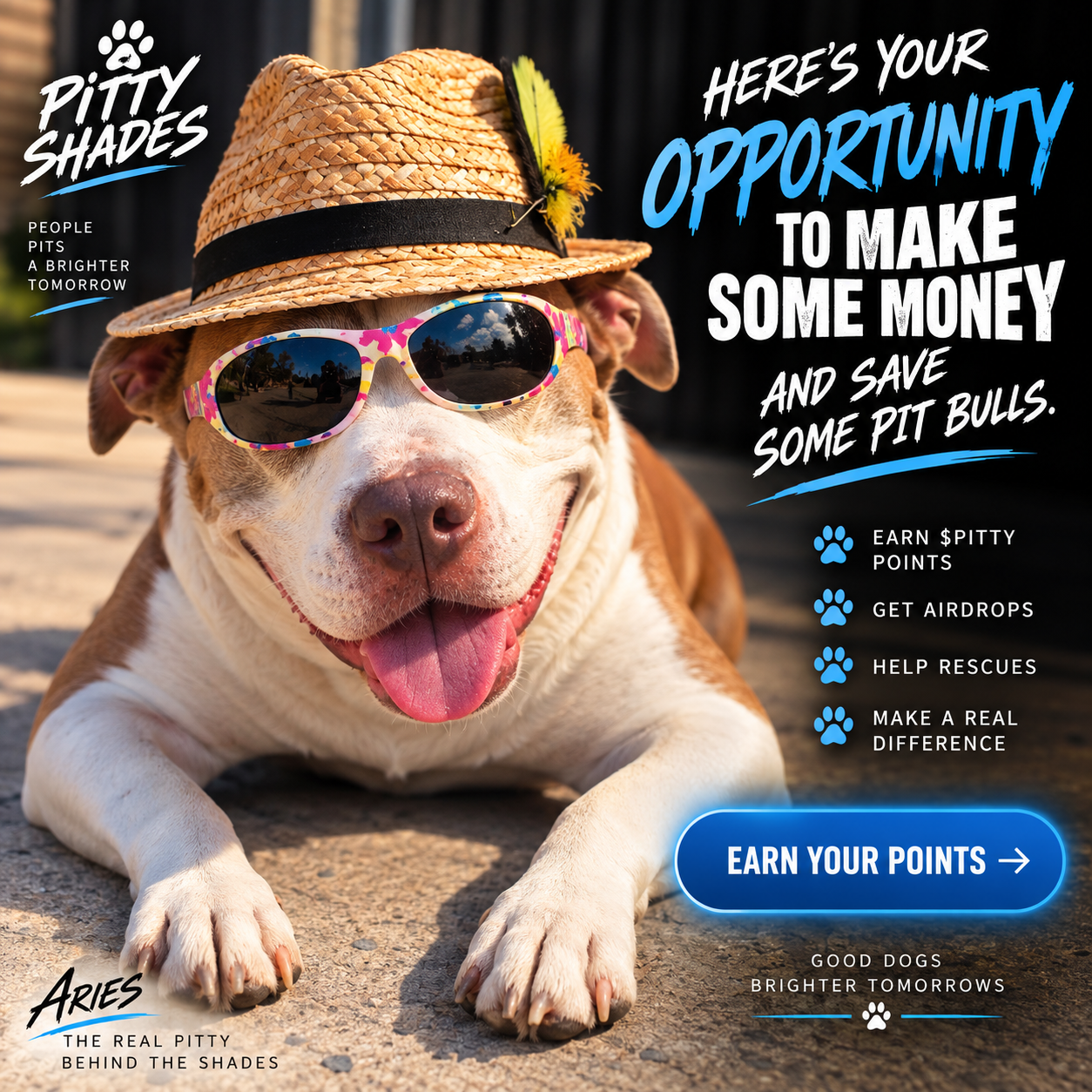 Aries in a straw hat and colorful shades — the Chief of Shades